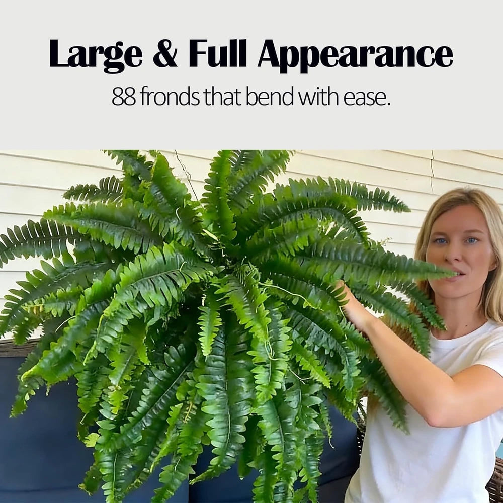 Large Artificial Boston Fern Bush