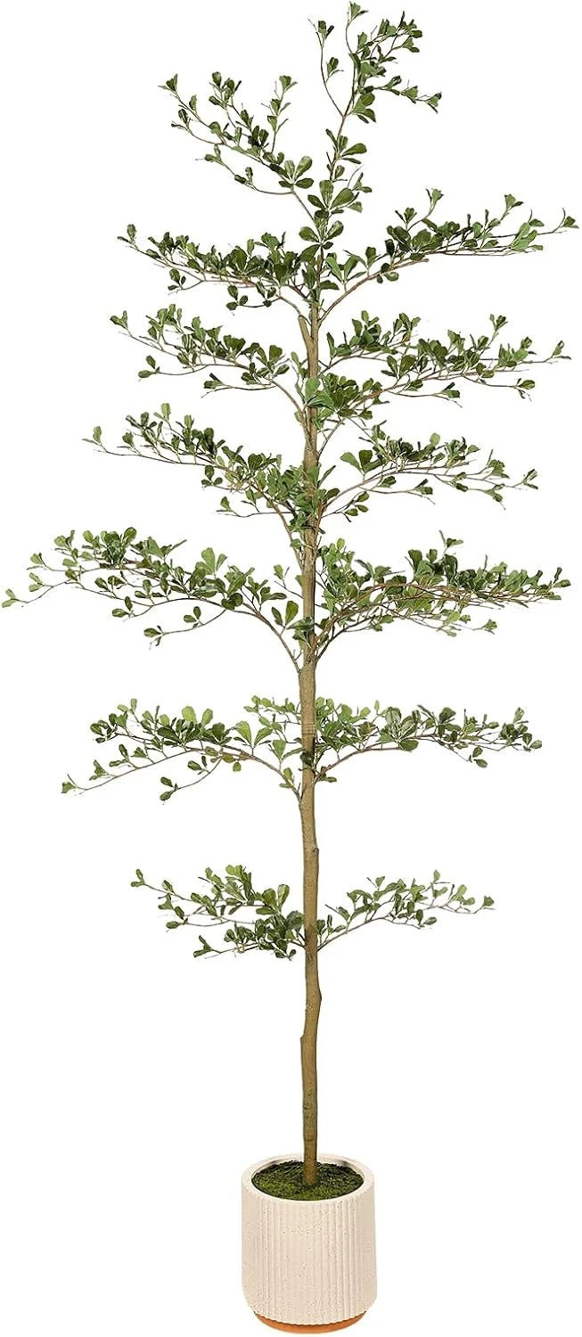 Faux Black Olive Tree