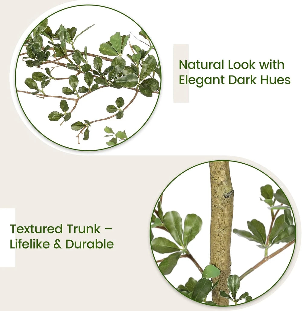 Faux Black Olive Tree
